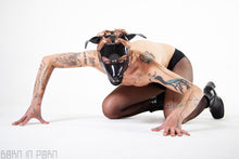 Load image into Gallery viewer, Puppy