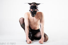 Load image into Gallery viewer, Puppy