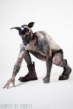 Load image into Gallery viewer, Puppy