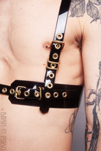 Načíst obrázek do prohlížeče Galerie, CVTL member - Harness