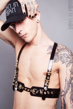 Načíst obrázek do prohlížeče Galerie, CVTL member - Harness