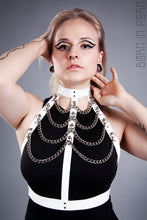 Načíst obrázek do prohlížeče Galerie, The Chain ribs